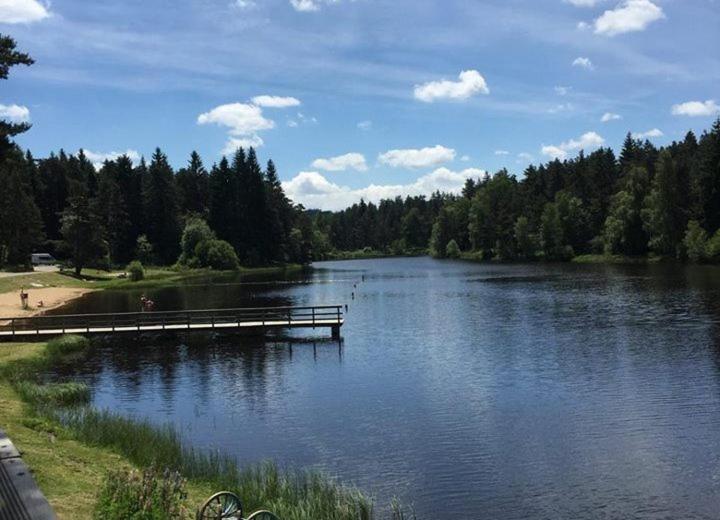 Gite Des 3 Etangs Malvières Extérieur photo